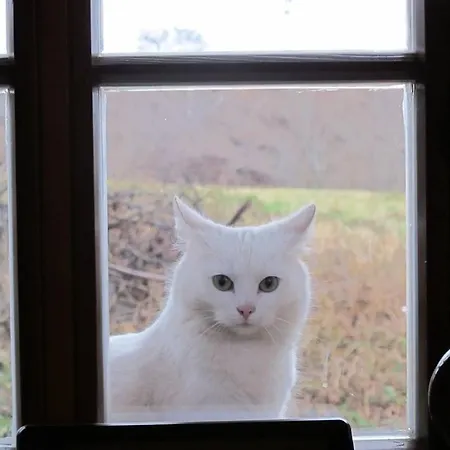 Gospodarstwo agroturystyczne 50