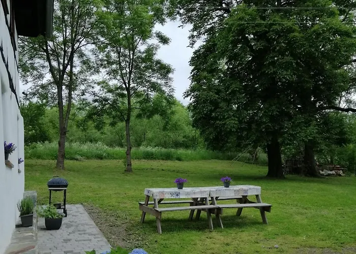 50 مزرعة للإقامة *