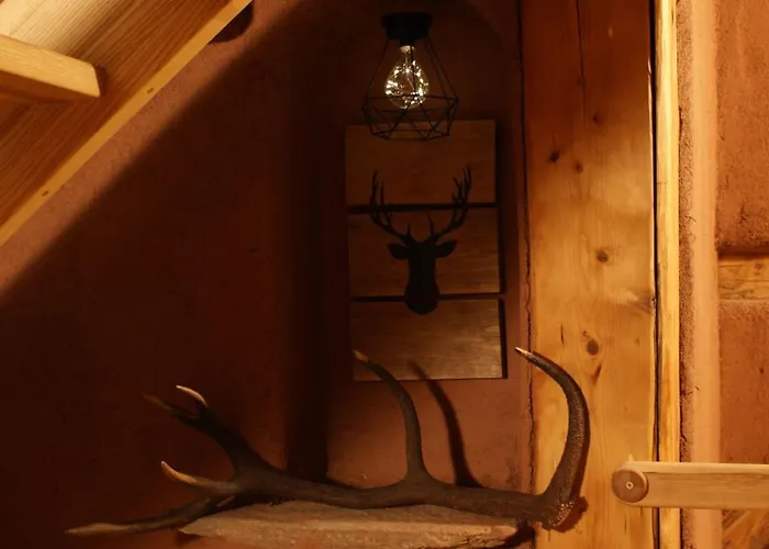 50 مزرعة للإقامة *