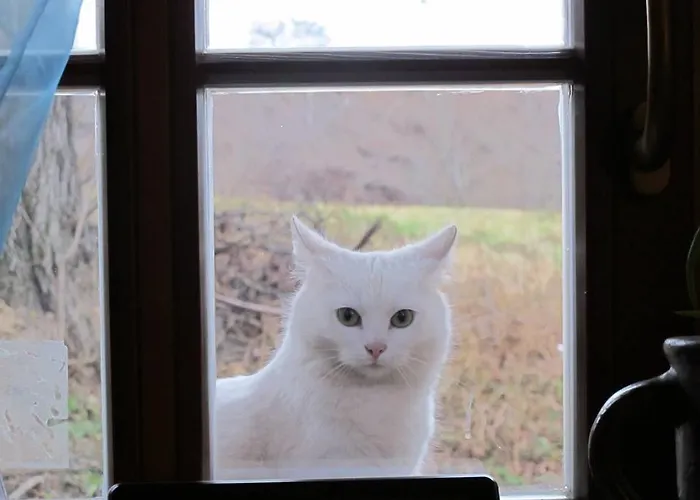 مزرعة للإقامة 50